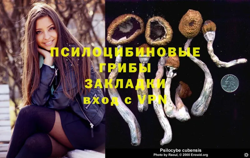 MEGA сайт  Заозёрный  Галлюциногенные грибы Psilocybine cubensis 